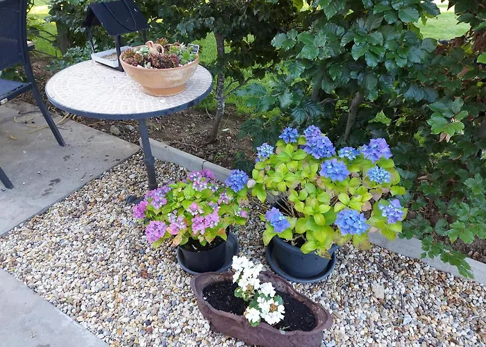 B&B La Vita Verde